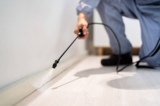 Bed Bug Pre-Treatment Preparation Assessment in Monmouth