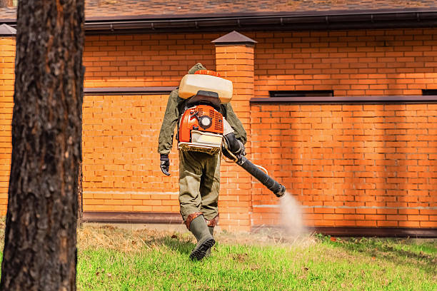 Bed Bug Clearance Verification and Documentation in Monmouth